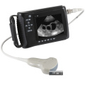 Animal Convenient Full Digital Ultrasound Scanner
